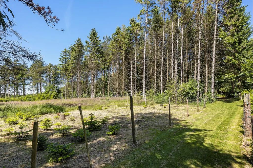 Aed - Villa with Forest Garden in Hollenstedvej