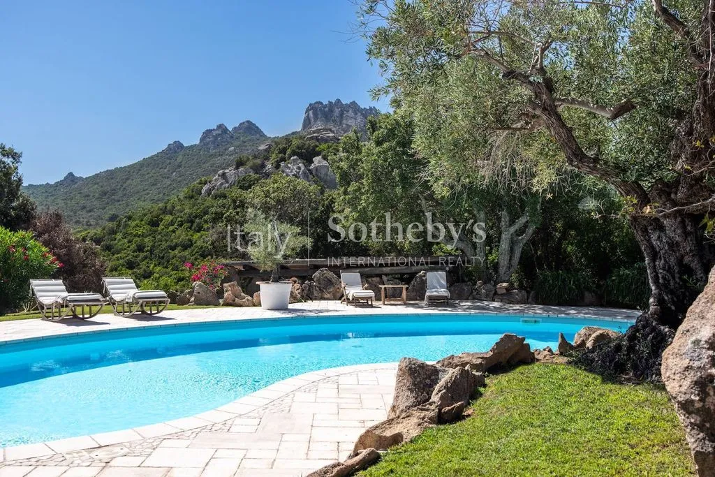 Piscina - Luxury Detached House with Pool in Arzachena