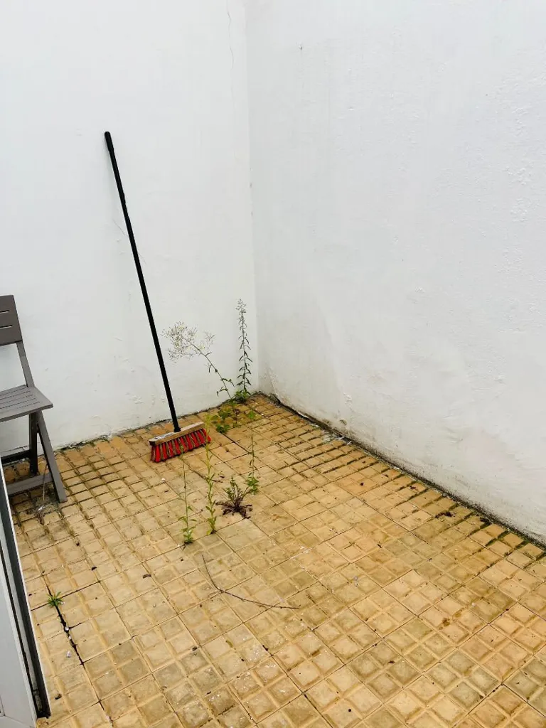 Jardin - Appartement Meublé en Centre Ville à Saint-Quentin