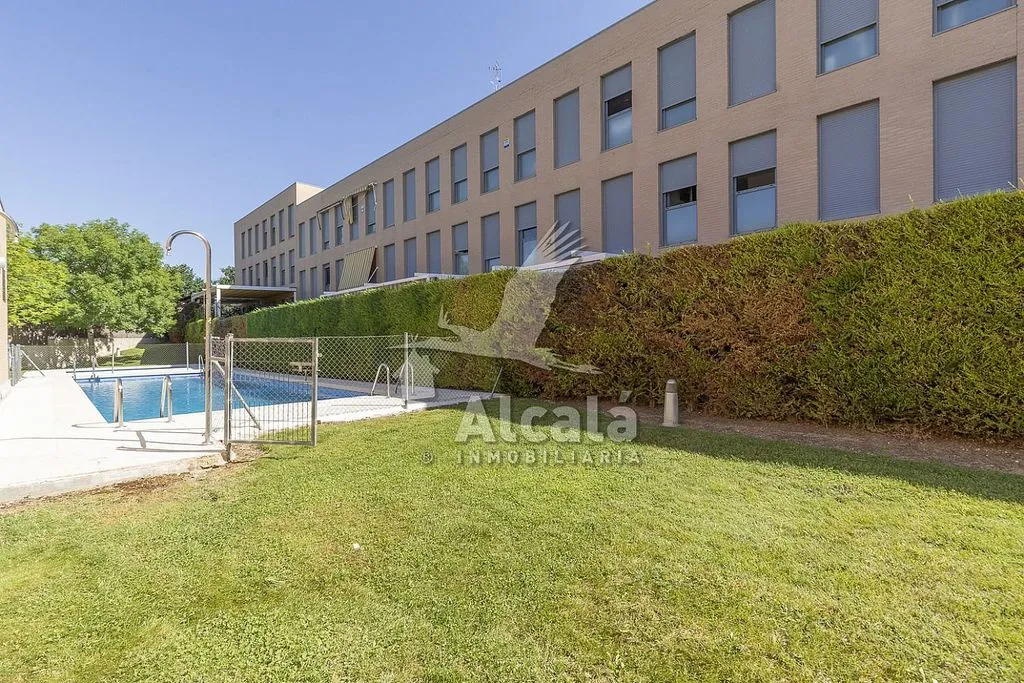 Piscine - 1-Bed Flat with Pool in Los Hueros