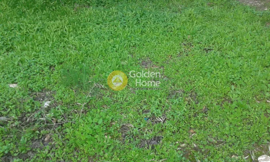Garden - Plot with Sea View in Nikaias - Ano Neapolis