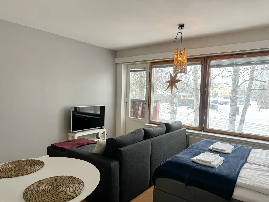 Living Room - Studio Flat with Modern Furnishings in Rovaniemi