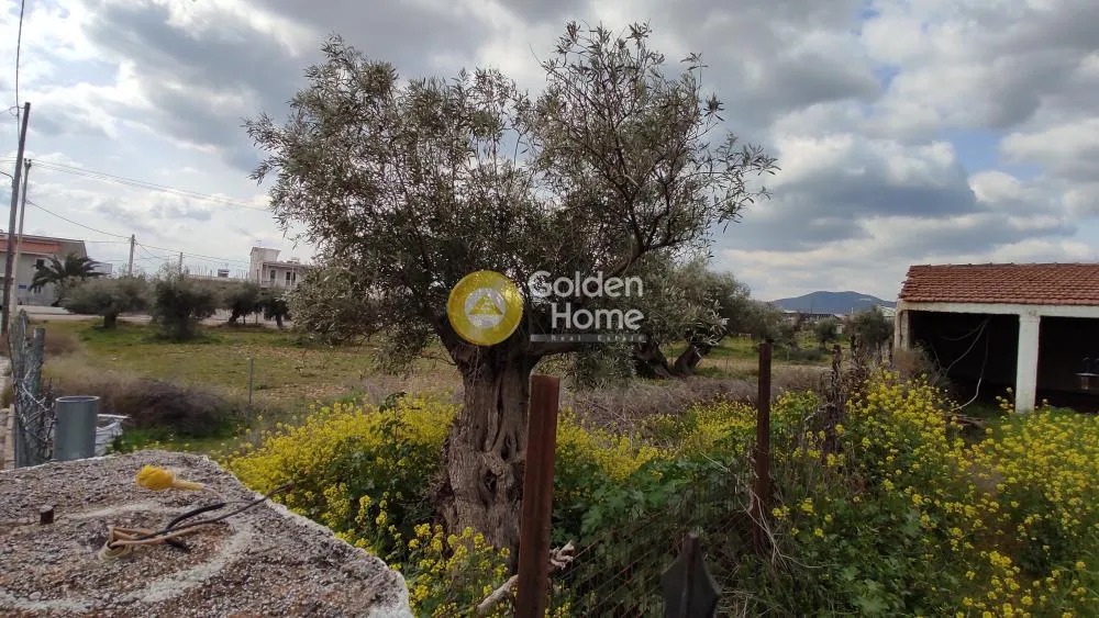 Aed - Plot with Mountain View in Magoula, Western Attica
