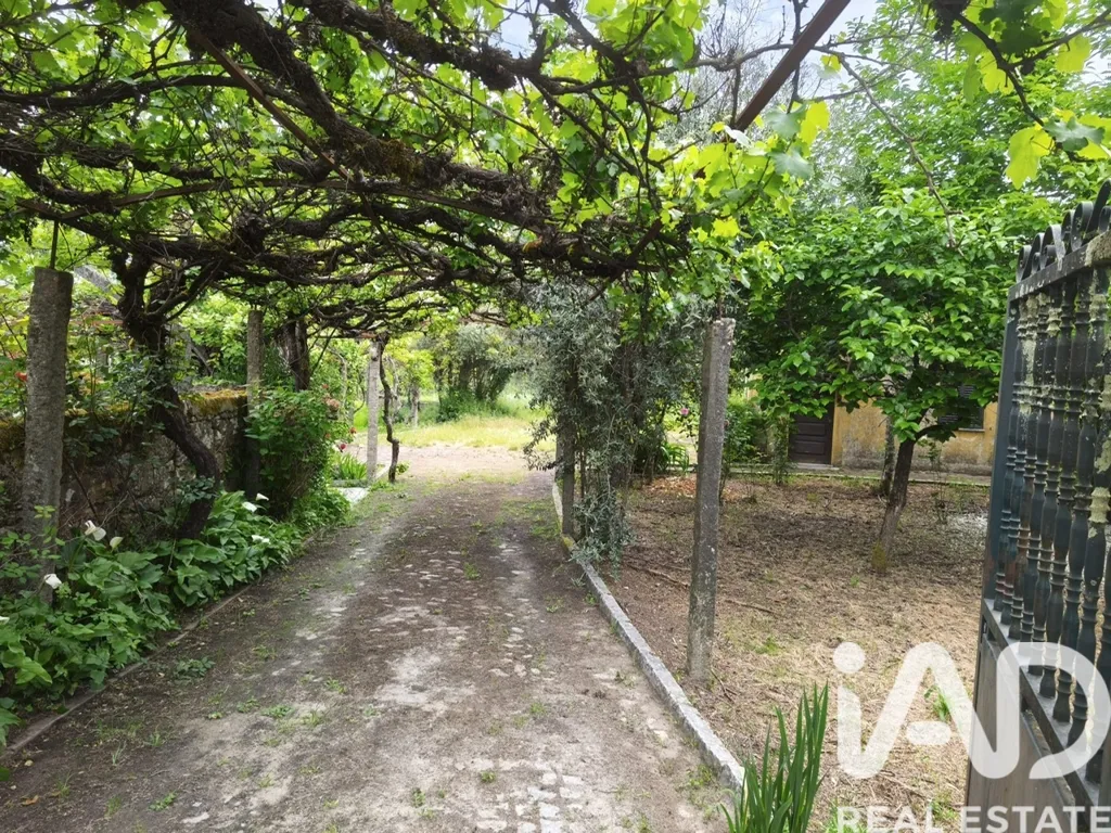 Aed - Quinta with Potential in Central Viseu