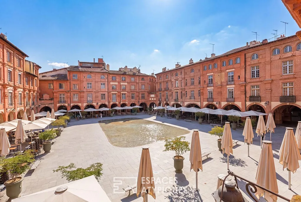 Jardin - Appartement Traversant avec Double Destination à Montauban