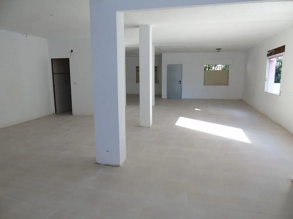 Toad - Chalet to Renovate with Garden in Ceutí