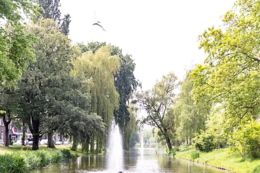 4-toaline korter asukohas Rotterdam