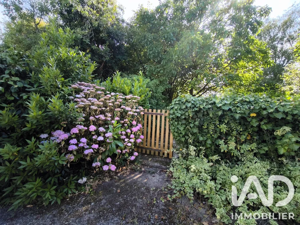 Garden - Character House with Garden in Condé-sur-Vire