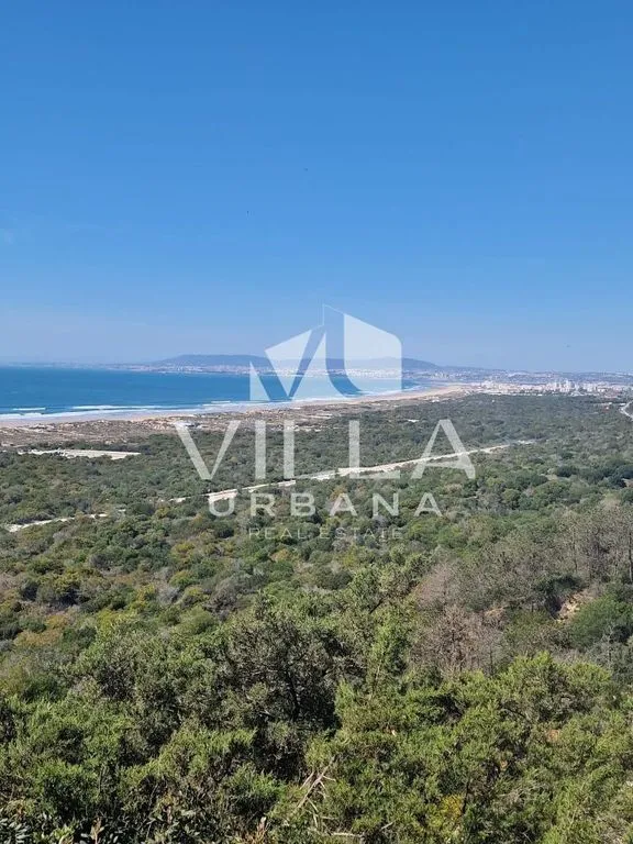 Jardin - Contemporary Villa with Pool in Almada