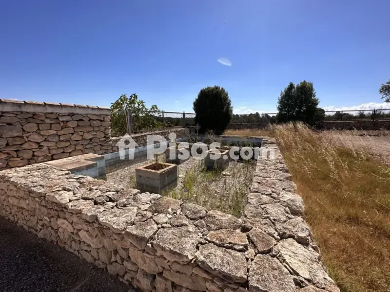 Jardin - Historic Finca with Vineyards in Requena