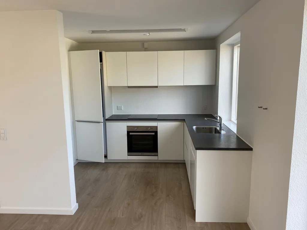 Cuisine - Spacious 4-Room Apartment with Balcony in Horsens