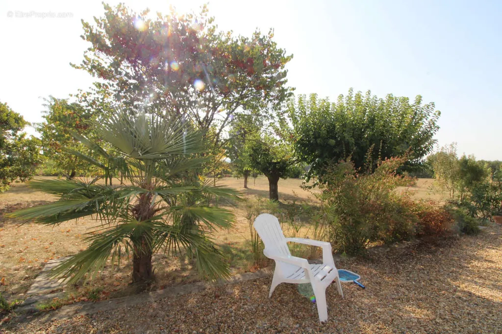 Jardin - Terrain 8 pièces à Allegre-Les-Fumades