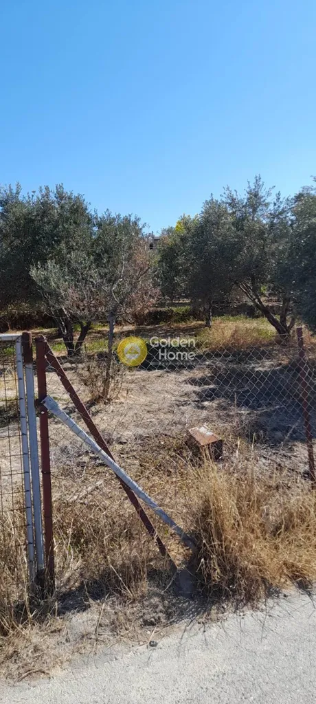 Jardin - Buildable Plot with Sea View in Elia