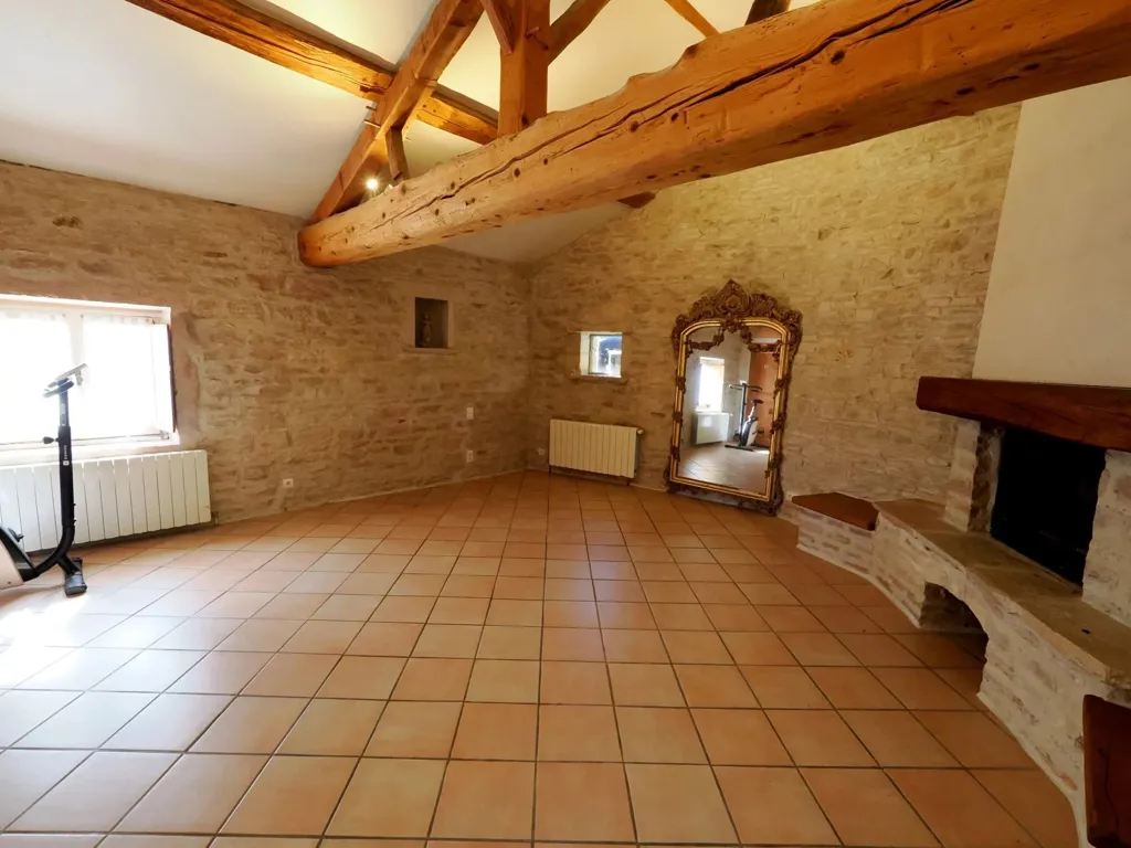 Elutuba - Historic Maison with Pool in Tournus