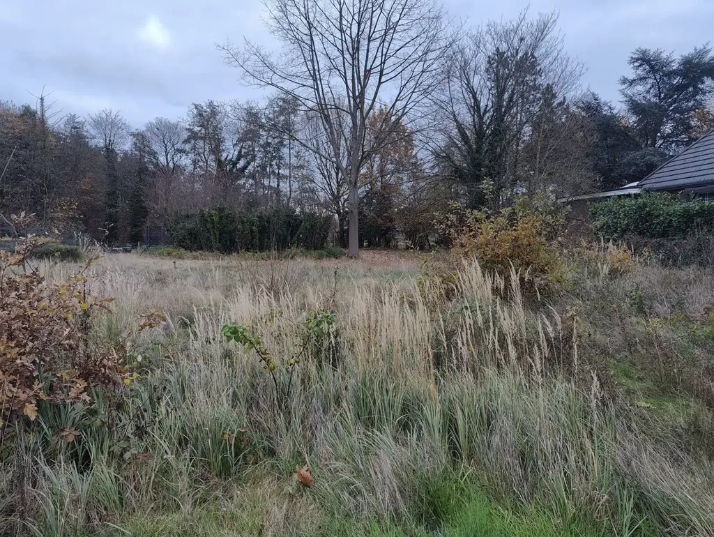 Jardin - Terrain pour HOB dans Rue Calme à Haacht