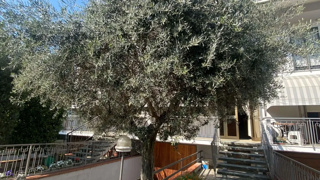 Jardin - Terraced Villa with Garden in Carpi