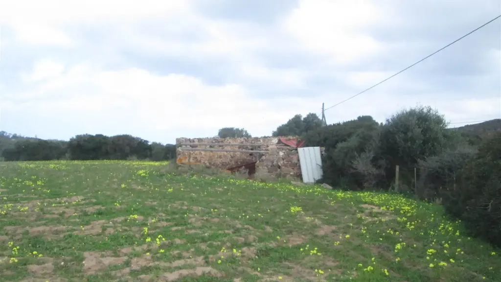 Jardin - Rustic Casale with Large Courtyard in Calasetta