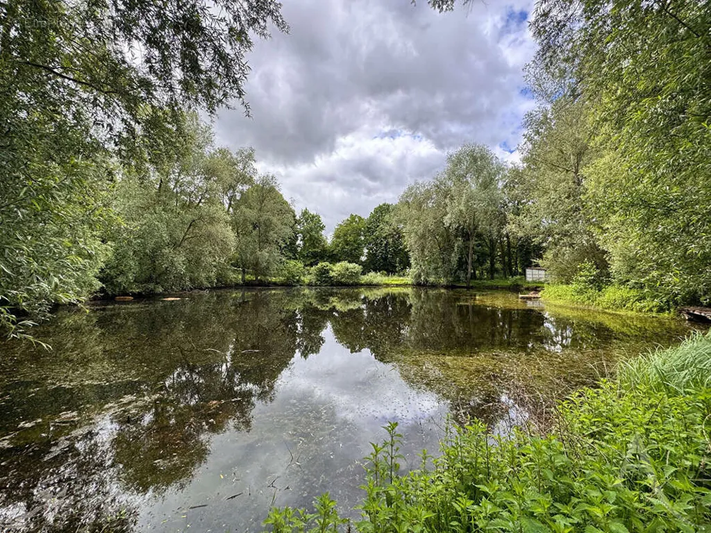 Lakeside Land with Etang near Amiens