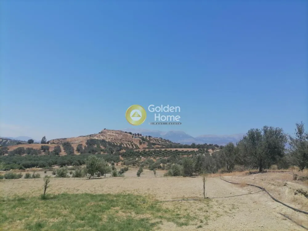 Garden - Buildable Plot with Olive Trees in Phaistos