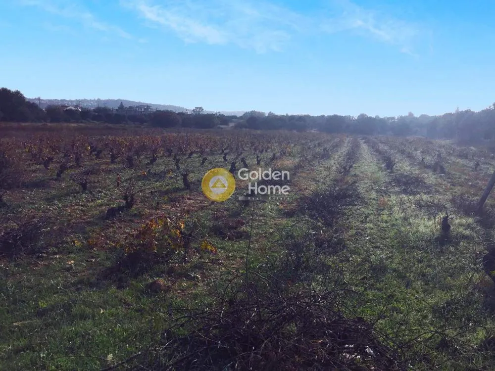 Aed - Plot with Sea View in Spata-Kontra