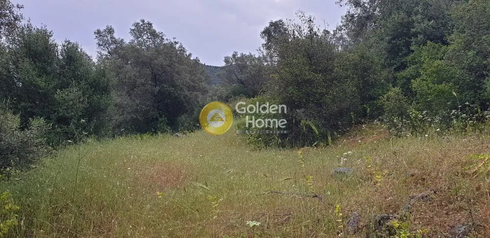 Aed - Agricultural Plot with Mountain View in Lefkada