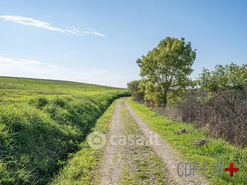Garden - Rustic Casale with Panoramic Views in Scansano