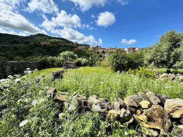 Aed - Rustic Farmhouse with Private Garden in Modolo