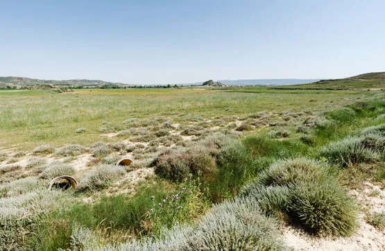 Garden - Development Land in Luna, Zaragoza