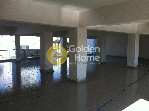 Toad - Office Space with Reception in Corfu Centre