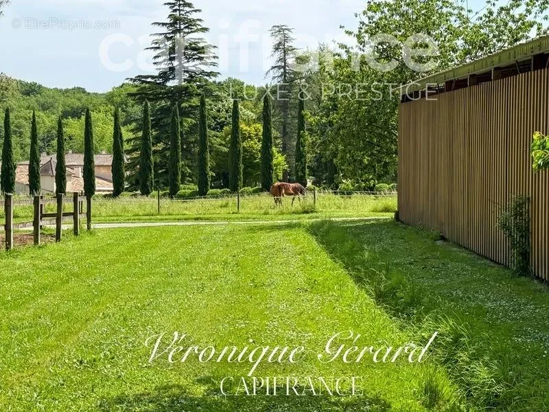 Aed - Equestrian Property with Longère in Salleboeuf