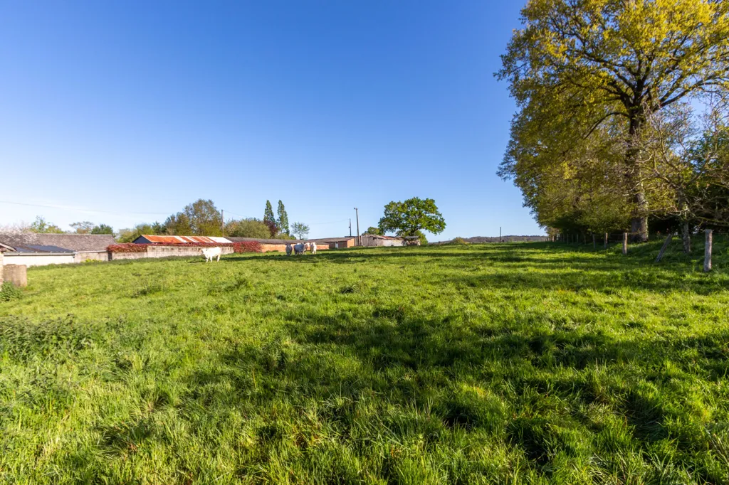 Jardin - Maison de Caractère avec Hangar à Saint-M'Hervé