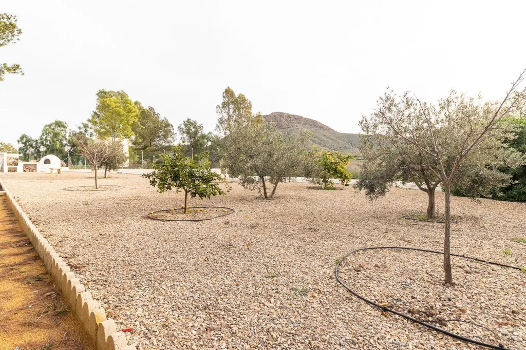 Jardin - Chalet with Guest Apartment in Mazarrón