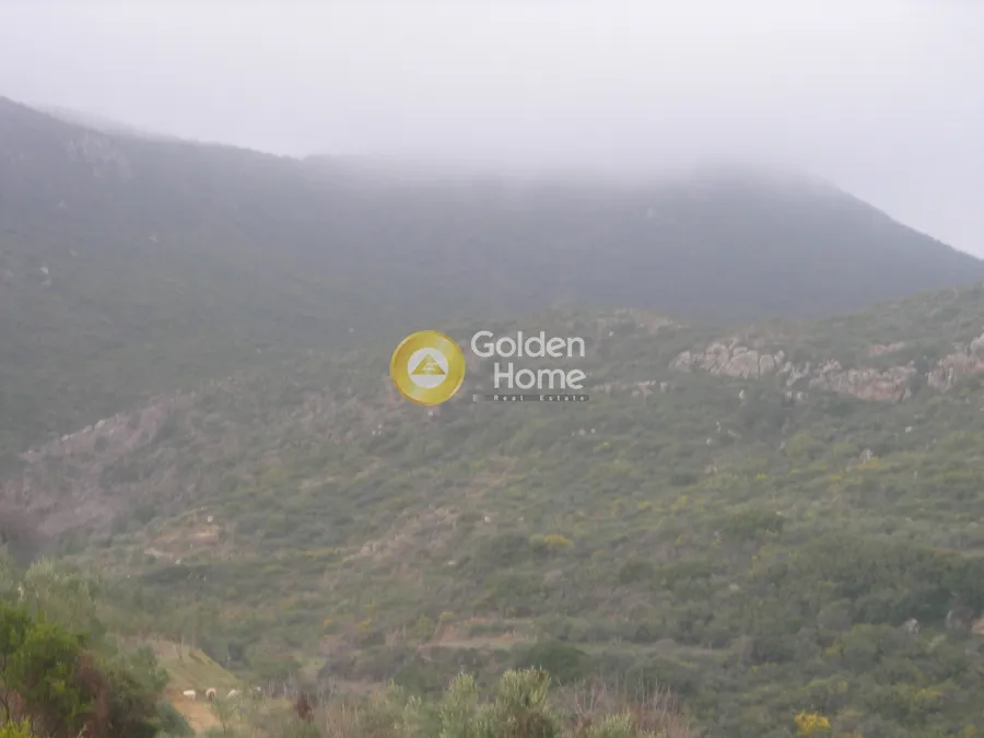 Aed - Agricultural Plot with Sea and Forest Views in Vasilikos