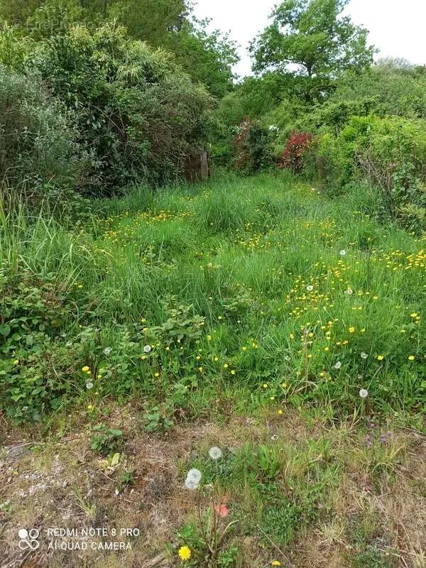 land_plot
