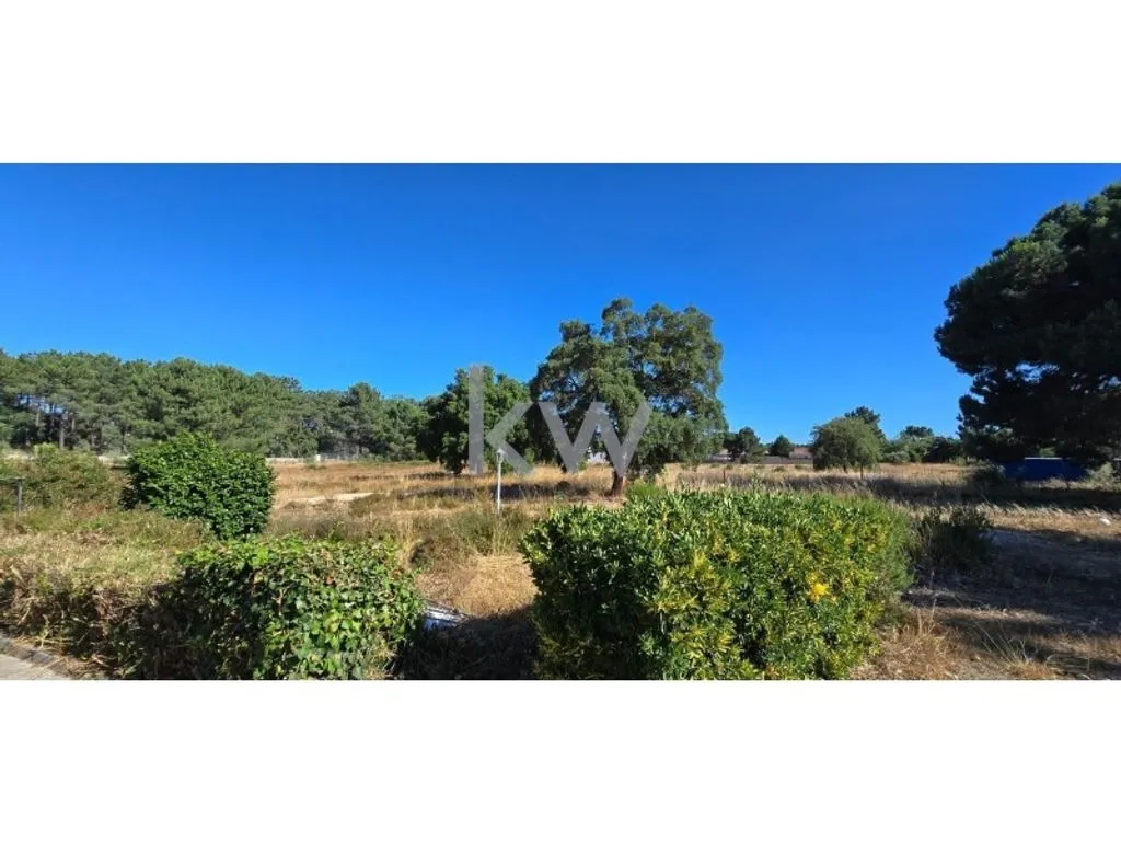 Aed - Luxury House with Pool in Setúbal