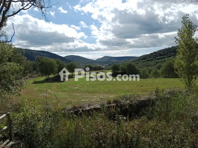 Giardino - Rustic Finca with Forest in Polígono