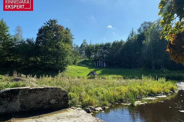 Jardin - Terrain à Tori vald