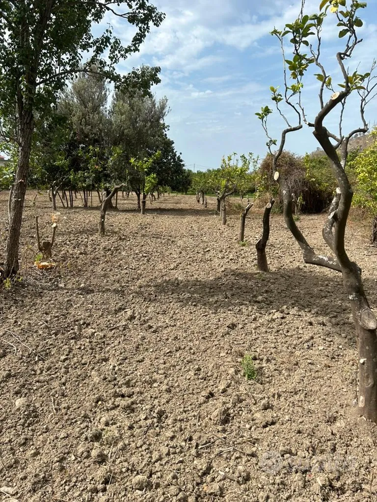 Jardin - Buildable Land with Irrigation in San Carlo