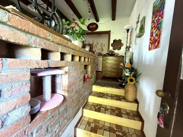 Toad - Villa with Extensive Garden in Porto Viro