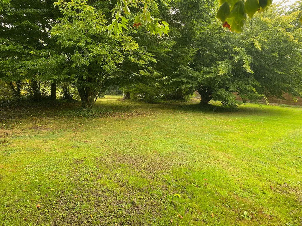 Jardin - Terrain Constructible Arboré à La Trinité-surzur