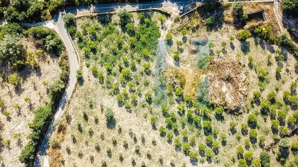 Vue aérienne - Historic Property with Olive Grove in Noto