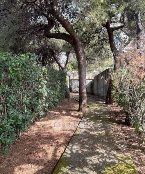 Aed - Apartment with Sea View in Scalea