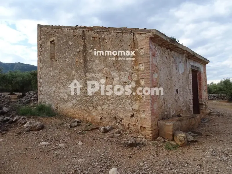 Välivaade - Rustic Farm with Olive Grove in Xerta