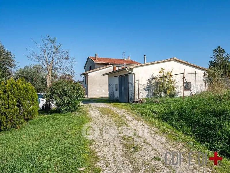 Garden - Rustic Casale with Panoramic Views in Scansano
