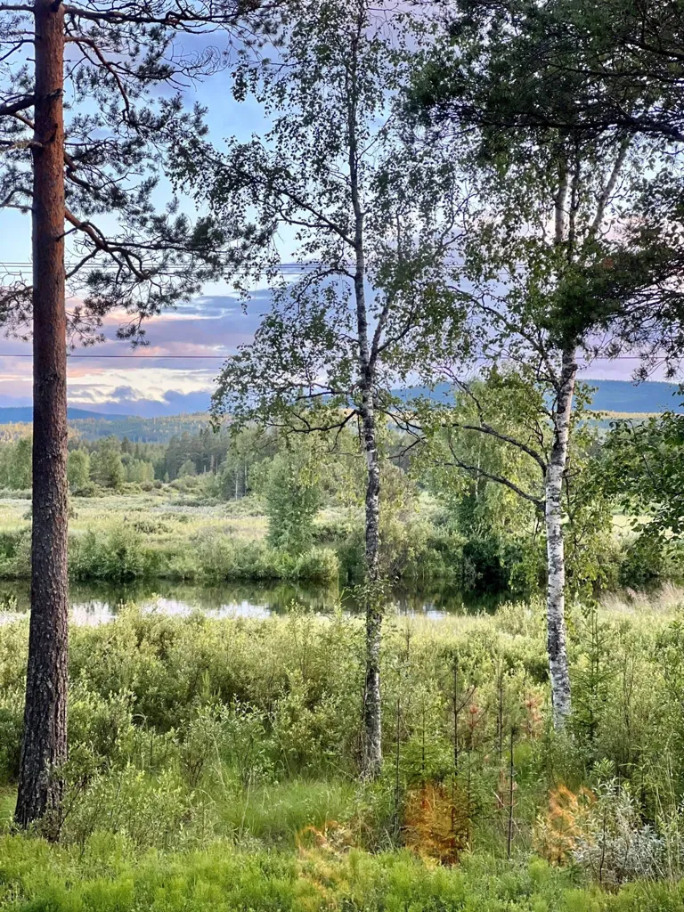 Maison 4 pièces à Härjedalens kommun
