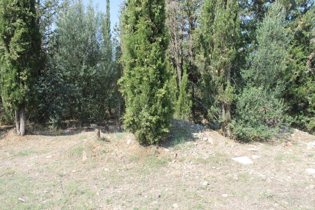 Jardin - Industrial Land in Olesa de Montserrat