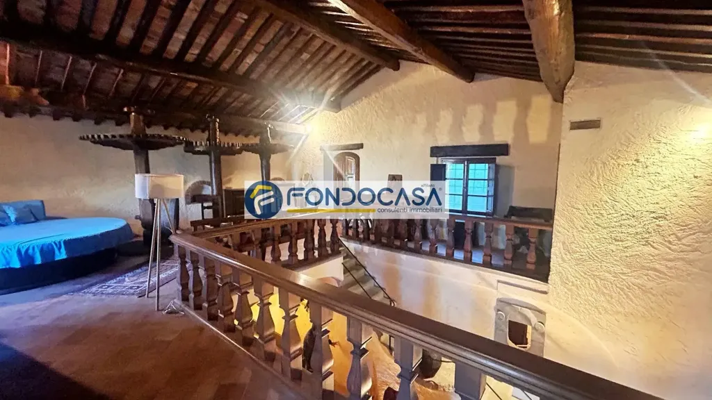 Toad - Historic Mill with Garden in Camaiore