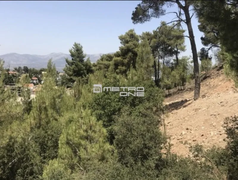 Aed - Buildable Plot with Unobstructed Views in Dionysos