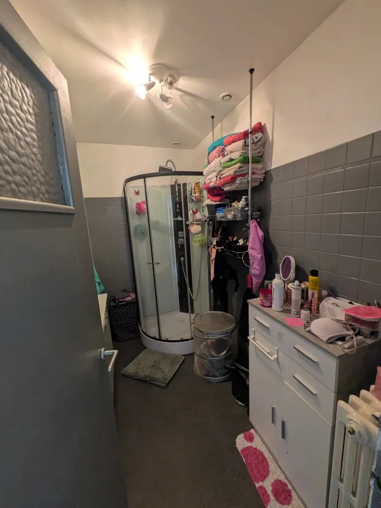 Salles de bain - Appartement T5 avec Jardin à Lavaur
