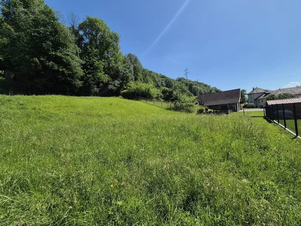 Jardin - Terrain Constructible avec Vue Dégagée à La Table